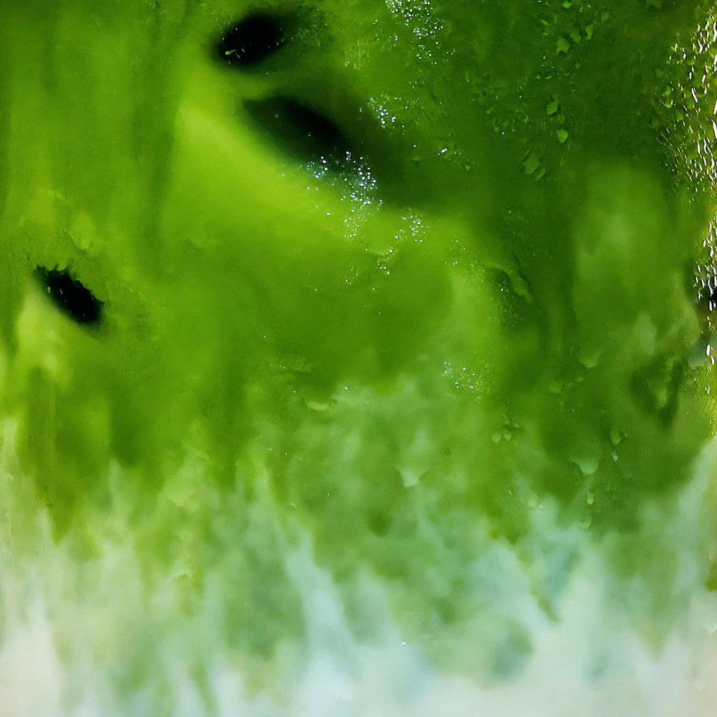 Bodhi Ceremonial Matcha